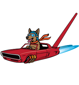 Dog in a Flying Car