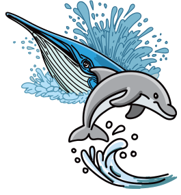 Sea Creatures